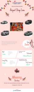 Christmas Parties Limo Service infographic